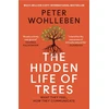 KNYGA P Wohlleben Hidden Life of Trees