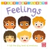 KNYGA Pat-a-Cake Find Out About: Feelings: A lift-the-flap board book of emotions