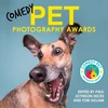 KNYGA Paul Joynson Hicks Comedy Pet Photography Awards - The paw-fect Christmas gift for animal lovers everywhere!