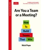 KNYGA Pope, Nick Are You a Team or a Meeting?: How to Build Teams That Win: An Economist Edge book