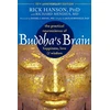 KNYGA Rick Hanson Buddha's Brain