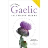 KNYGA Roibeard O Maolalaigh Scottish Gaelic in Twelve Weeks, With Audio Download