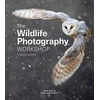 KNYGA Ross Hoddinott Wildlife Photography Workshop, The