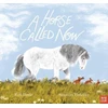 KNYGA Ruth Doyle Horse Called Now