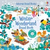 KNYGA Sam Taplin Winter Wonderland Sound Book