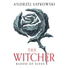 KNYGA Sapkowski, Andrzej Blood of Elves: The bestselling novel which inspired season 2 of Netflix’s The Witcher