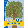 KNYGA Sara Wernham Grammar 4 Pupil Book, In Print Letters (British English edition)