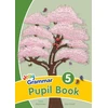 KNYGA Sara Wernham Grammar 5 Pupil Book, In Precursive Letters (British English edition)