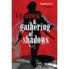 KNYGA Schwab, V. E.; Schwab, Victoria Gathering of Shadows