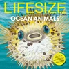 KNYGA Sophy Henn Lifesize Ocean Animals