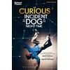 KNYGA Stephens, Simon (Author) Curious Incident of the Dog in the Night-Time
