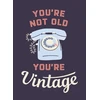 KNYGA Summersdale Publishers You're Not Old, You're Vintage