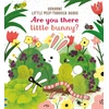 KNYGA Taplin, Sam Are you there little Bunny
