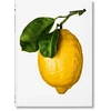 KNYGA The The Gourmand Gourmand’s Lemon