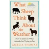 KNYGA Thomas, Amelia What Sheep Think About the Weather: How to listen to what animals are trying to say