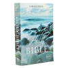 KNYGA Thomas Nelson KJV, Holy Bible, Larger Print, Paperback, Comfort Print: Holy Bible, King James Version