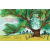 KNYGA Bookshop Thousand Year Tree: An incredible journey through time, from seed to fragile giant.