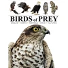 KNYGA Tom Jackson Birds of Prey