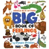 KNYGA U.S. Big Book of Feelings