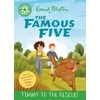 KNYGA Walter Jackie Reading Champion: The Famous Five: Timmy to the Rescue!: Žalias Band 5