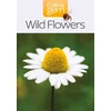 KNYGA Harpercollins Publishers Wild Flowers