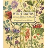 KNYGA Margaret Erskine Wilson Wild Flowers of Britain: Month by Month