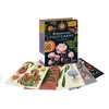 KNYGA Bookshop Willis Kathy Botanicum Postcards