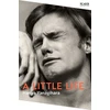 KNYGA Yanagihara Hanya Little Life