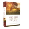 KNYGA Zondervan Amplified Holy Bible, Large Print, Hardcover