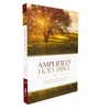 KNYGA Zondervan Amplified Holy Bible, Paperback