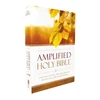 KNYGA Zondervan Amplified Outreach Bible, Paperback: Capture the Full Meaning Behind the Original Greek and Hebrew