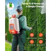 Akumuliatorinis kuprinis sodo purkštuvas, 15 l bakas, 8 keičiami purkštukai, slėgis 6,2 bar, vejai, daržui, šiltnamiui
