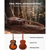 Akustinė gitara Dreadnought 40 col. (1016 mm). 6 stygos. sunburst spalvos