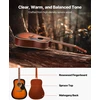 Akustinė gitara Dreadnought 41 col. (1041.4 mm). 6 stygos. sunburst spalvos