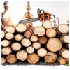 Benzininis grandininis pjūklas KRAFT&DELE KD10613 59 AG (44 kW) 2in1 16"+18"