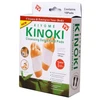 Detoksikaciniai pleistrai KINOKI - DETOX 10vnt