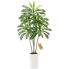 Dirbtinė dracena. 1829 mm. su aukštu baltu vazonu. tropinė palmė vidaus ir lauko dekorui