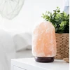 Druskos lempa SaltLamp SL1 BERIMAX 2-3kg