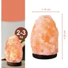 Druskos lempa SaltLamp SL1 BERIMAX 2-3kg
