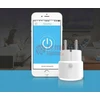 Išmanusis WIFI lizdas 16A WR07W