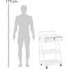Kosmetinis vežimėlis su 1 stalčiumi ir 3 lentynomis baltas