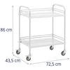 Laboratorinis kosmetinis gydymo vežimėlis pagamintas iš plieno 2 lentynos 73 x 44 x 86 cm 20 kg