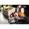 Maišytuvas blenderis 350W 230V Royal Catering sidabro/juoda