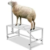 Ožkų/avių melžimo ir kirpimo stovas 1195 x 584 mm. reguliuojamo aukščio. su galvos fiksatoriumi