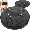 Sukimosi lėkštė BERIMAX 1QF-4VL 24.5 cm 90 kg