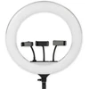 Žiedinė LED lempa BERIMAX 5WA-2HKKI 300 W, 240 LED, 45 cm
