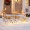 Aosom 3 dalių kalėdinių elnių ir rogių dekoracijų rinkinys su LED, rudas