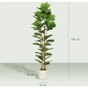Aosom Dirbtinis lyralapis fikusas vazone su 91 lapu, 180 cm