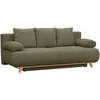 Aosom Miegamoji sofa su reguliuojamu atlošu ir daiktadėže, tamsiai žalia, 188 x 100 x 84 cm