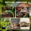 Aosom Stiklinis terariumas reptilijoms, juodas, 30 x 30 x 30 cm